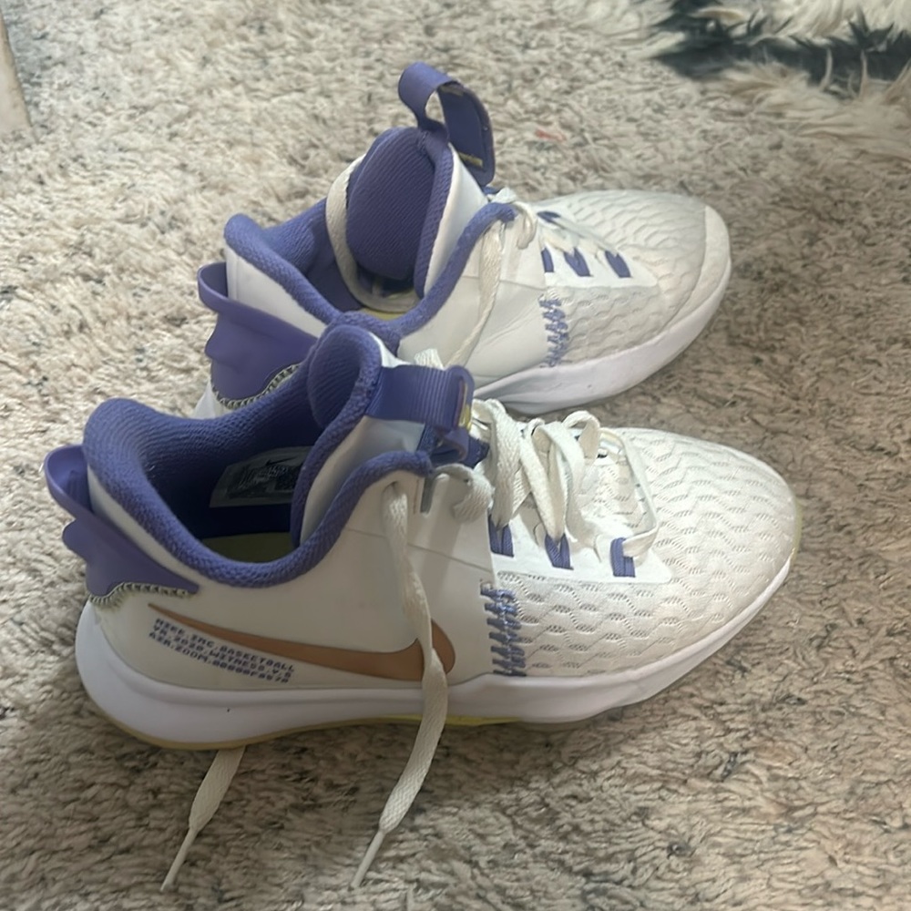 Lebron witness 5 perfect condition